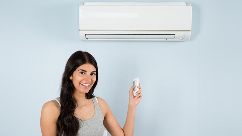 pgimg-ductless