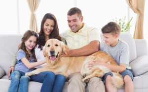 Annual Furnace Maintenance in Palm Desert, CA